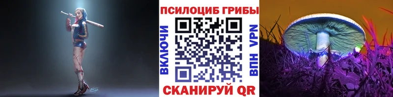 Галлюциногенные грибы ЛСД Городец